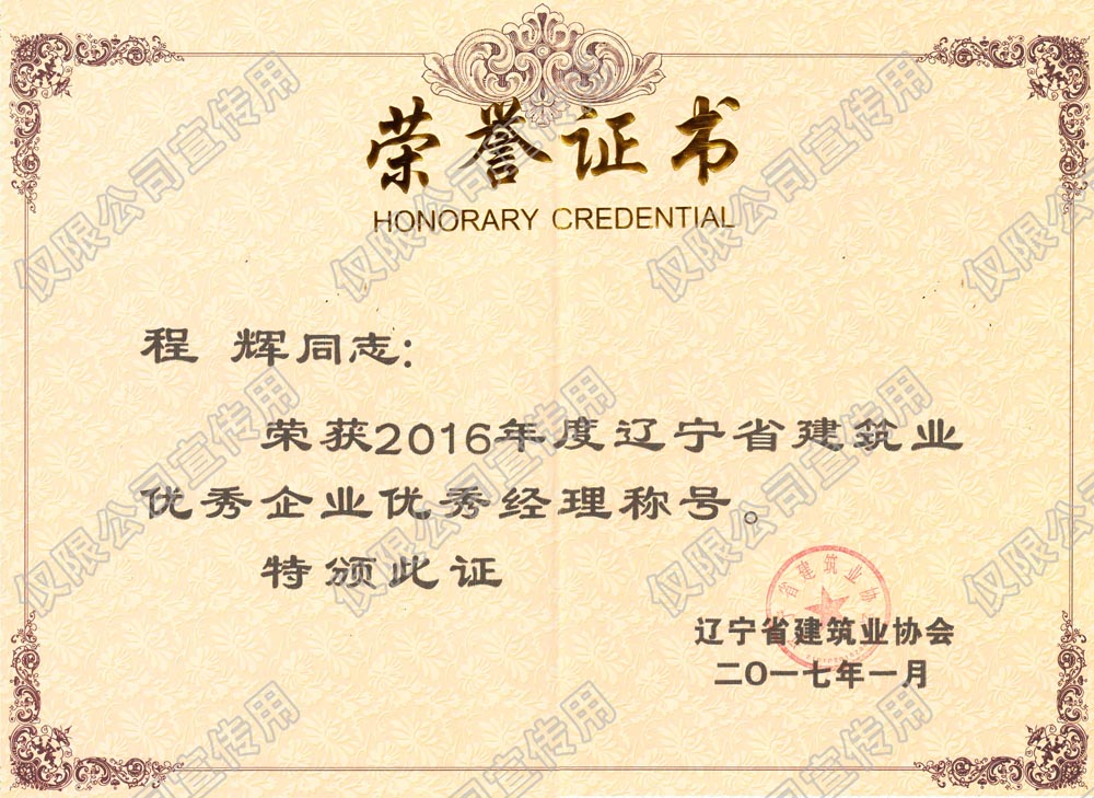 程辉2016省级优秀经理.jpg